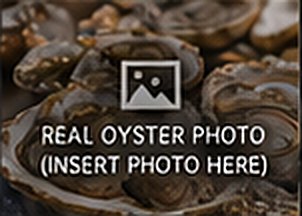 Oysters on ice